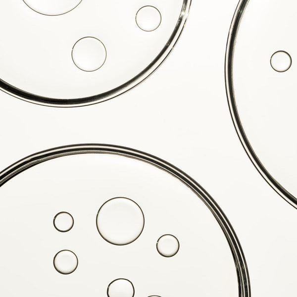 Bovine-and-Marine-Collagen-A-Comparative-Analysis Innerwork-health