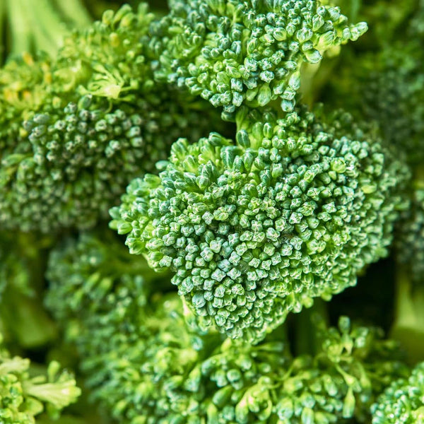 Liver-Health-Metabolism-101 Innerwork-health