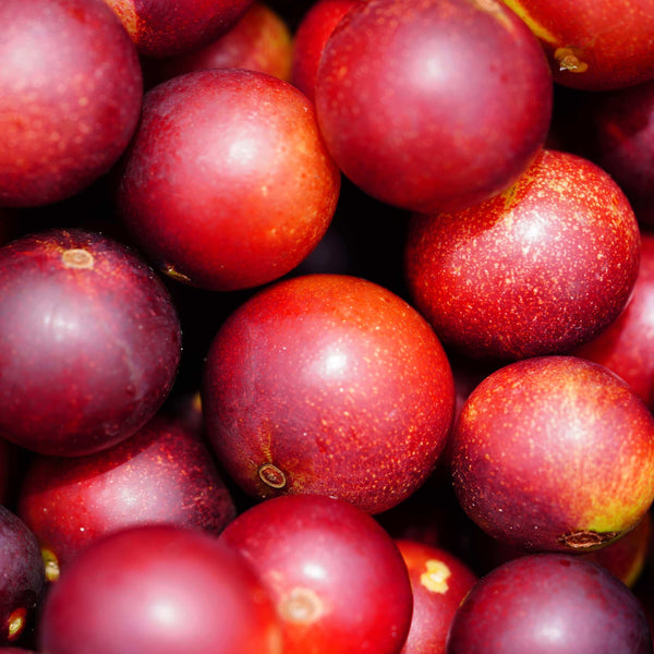 Superfoods-for-Optimal-Health Innerwork-health